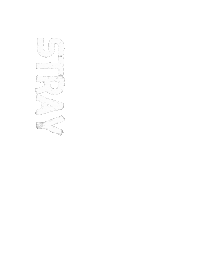 Stray Kids Skz Sticker