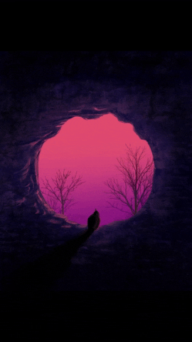 lauraemlillelund giphyupload bird free sunset GIF
