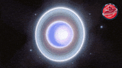 James Webb Nasa GIF by ESA Webb Space Telescope