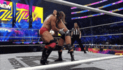 All Elite Wrestling GIF