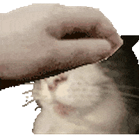 Pet Cat Sticker