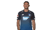 tsg hoffenheim football Sticker by Bundesliga