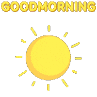 Good Morning Sun Sticker by Pudgy Penguins