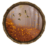 Fall Autumn Sticker