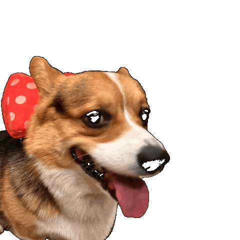 Dog Click Sticker