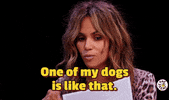 Halle Berry Dogs GIF by First We Feast