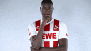 fckoeln football soccer bundesliga fussball GIF
