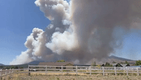 Suspect Arrested as Crews Battle Fast-Growing Wildfire Near Flagstaff