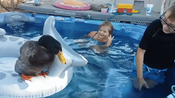 Pet Duck Discovers How Much He Loves Head Bopping