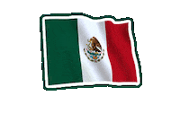canelsusa football futbol win mexico Sticker