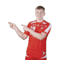 Handball Stefansson Sticker by MT Melsungen