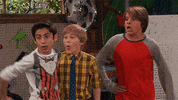 nicky ricky dicky and dawn GIF by Nickelodeon