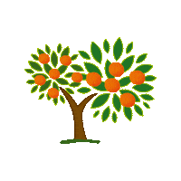 orange blutorangen Sticker by mammarancia