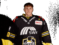 Del2 Kev Sticker by Krefeld Pinguine