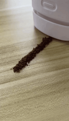 sarine149 giphygifmaker giphygifmakermobile GIF