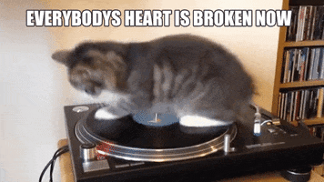 GIF by TEN Music Group