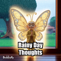 Buddhaflycharacter GIF by BuddhaFlyJourney