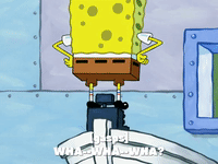 season 7 episode 25 GIF by SpongeBob SquarePants