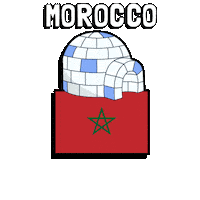 World Cup Football Sticker by Pudgy Penguins