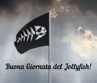 pirate cpi GIF by Chiesa Pastafariana Italiana 