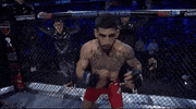 Mixed Martial Arts Sport GIF by UFC