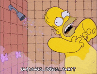 homer simpson GIF