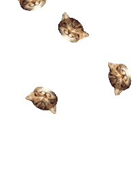 Cat Rain Sticker