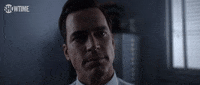 Episode 4 Hawk GIF by SHOWTIME