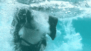 Drowning Sex Tape GIF by FLETCHER