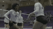 handshake volleyball GIF by JMUDukes