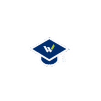 Comet Sticker by WIT