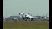 flight GIF