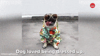 Doug Loves Dressing Up