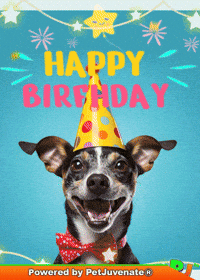 Happy Birthday Funny Dog GIF by PetJuvenate - PJ