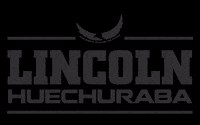 LincolnCollegeChile lincolnhuechuraba lincolncollegehuechuraba GIF