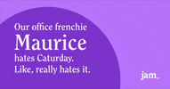 French Dog GIF by Jam_