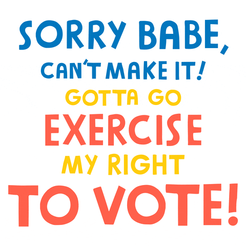 Voting Midterm Elections GIF by imrobinthisjoint