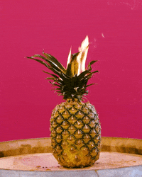 GIF by bat taste