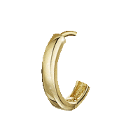 Hoops Earrings Sticker by Laura Bond