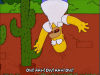 homer simpson GIF