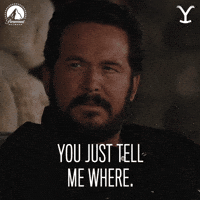 GIF by Yellowstone