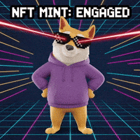 GIF by Doge Pound