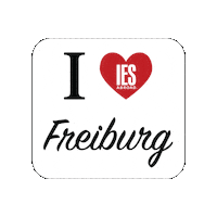 Germany Travel Sticker by IES Abroad