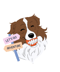 Roykim Sticker
