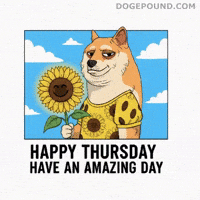Happy Good Vibes GIF by Doge Pound