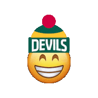 Australian Football League Afl Sticker by tasmaniafc