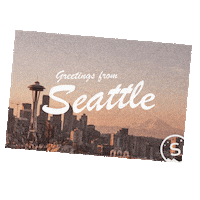 stellerstories travel holiday usa vacation Sticker