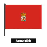 Ciudad Real Flag Sticker by Formación Ninja