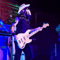 Partisan Records Halloween GIF by wade.photo