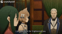 I Apologize For Frightening You